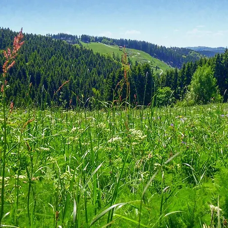 Ferienhauspark Holiday home